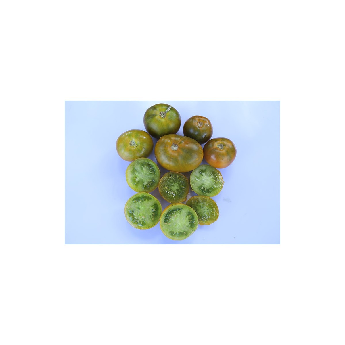 Tomate Lime Green
