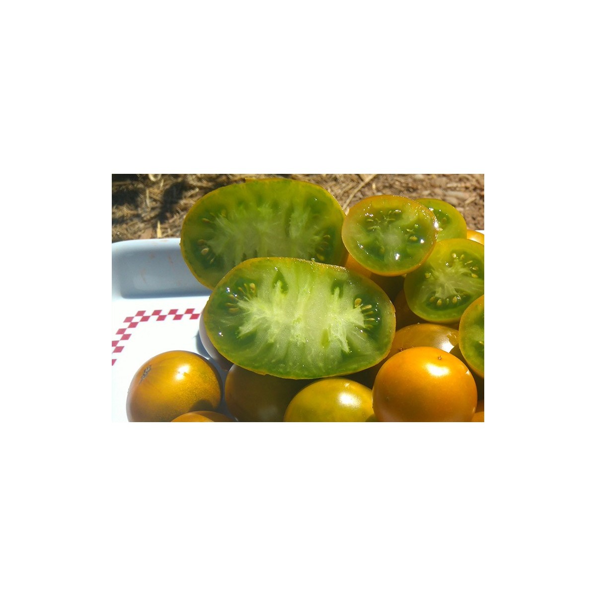Semences de tomate Lime Green , Jolie tomate de couleur verte