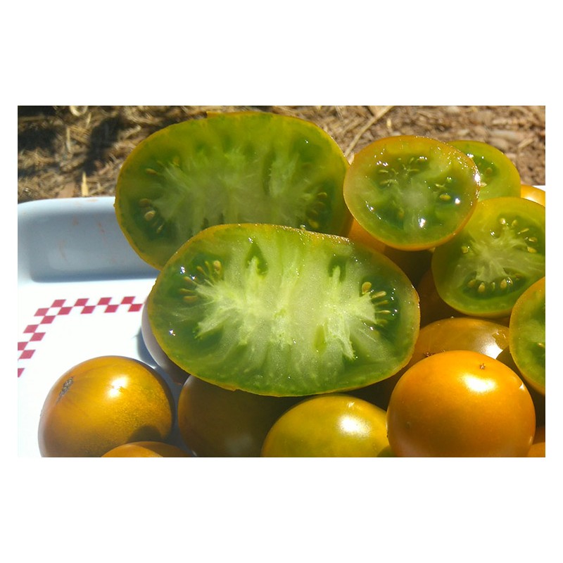 Semences de tomate Lime Green , Jolie tomate de couleur verte