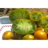 Semences de tomate Lime Green , Jolie tomate de couleur verte