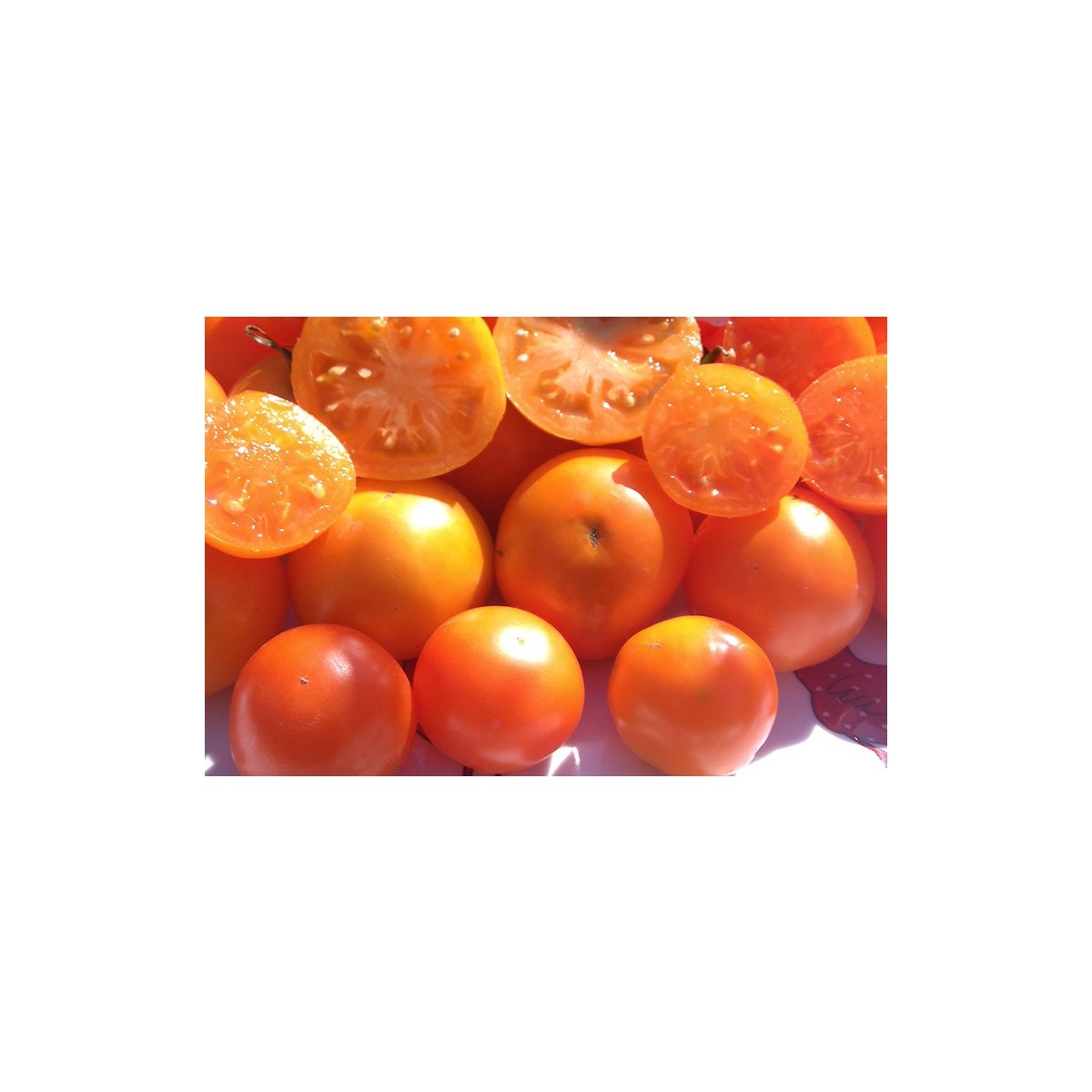 Tomate Orange Queen