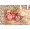 Tomate Calabache Pourpre semences bio