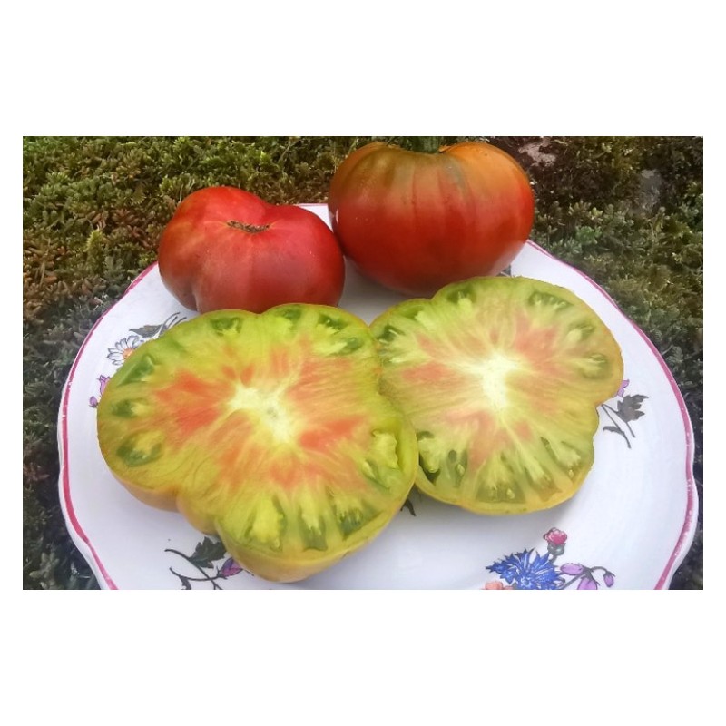 Semences de tomate Ananas Noir. Semences Pascal Poot