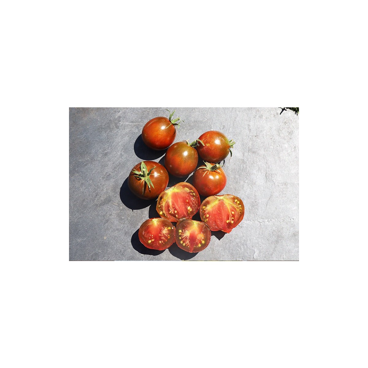 Tomate Prince noir