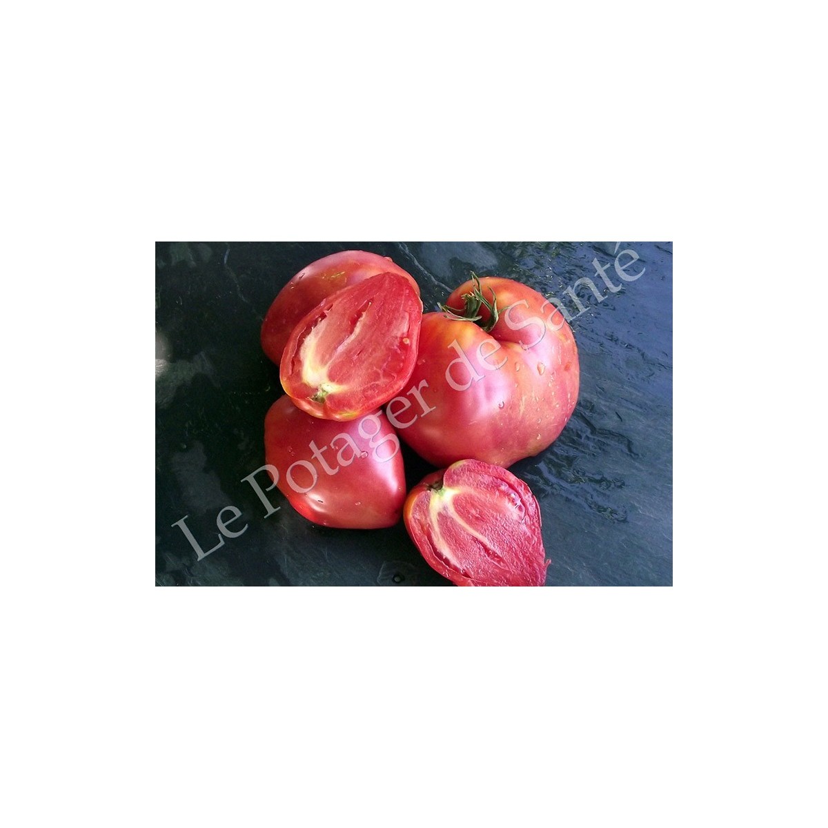 Tomate Cœur de Bœuf Rose sucrée ( Sweet Heart )