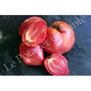 Tomate Cœur de Bœuf Rose sucrée ( Sweet Heart )