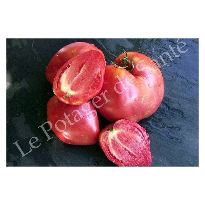 Graines Bio Tomate coeur de Boeuf