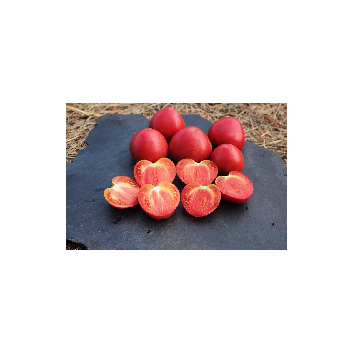 Tomate Cœur de Bœuf Oxheart Rustique