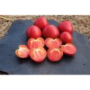 Tomate Cœur de Bœuf Oxheart Rustique