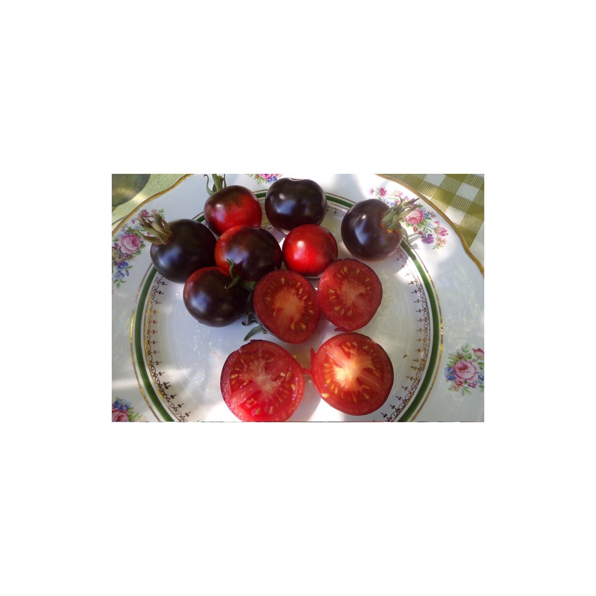 Tomate Indigo