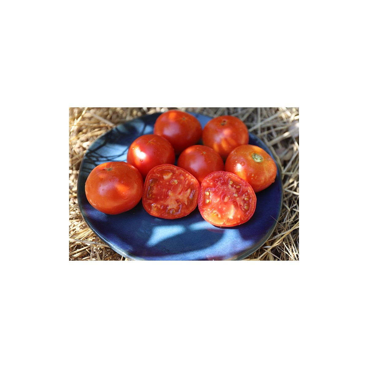 Tomate Cœur de Bœuf  Orange