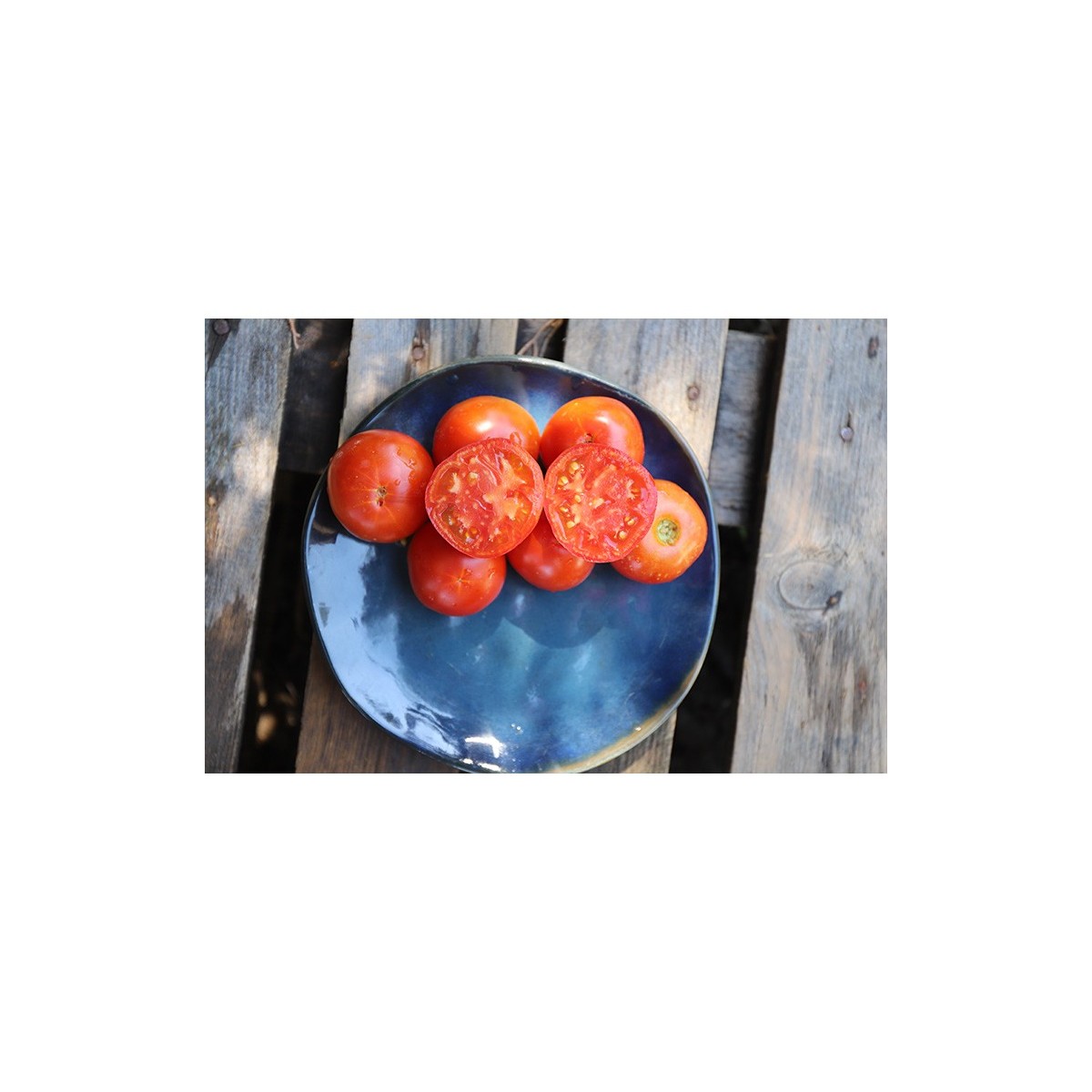 Tomate Languedocienne variété ancienne précoce graines bio