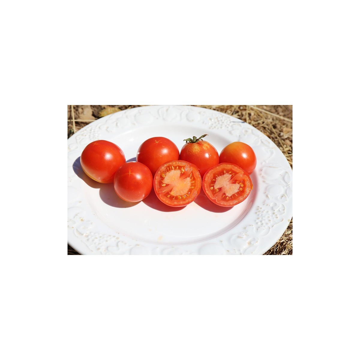 Tomate Merveille des Marchés