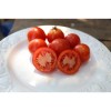 Semences de tomate ancienne Merveille des Marchés