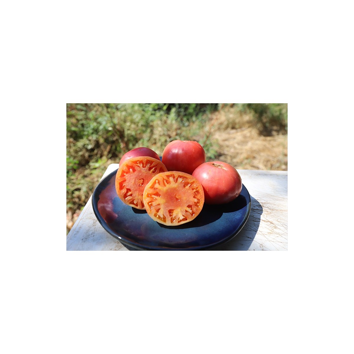 Tomate Géante d'Orenbourg