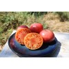 Tomate Géante d'Orenbourg