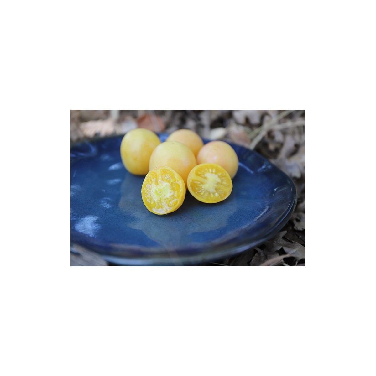 Tomate Pêche Blanche