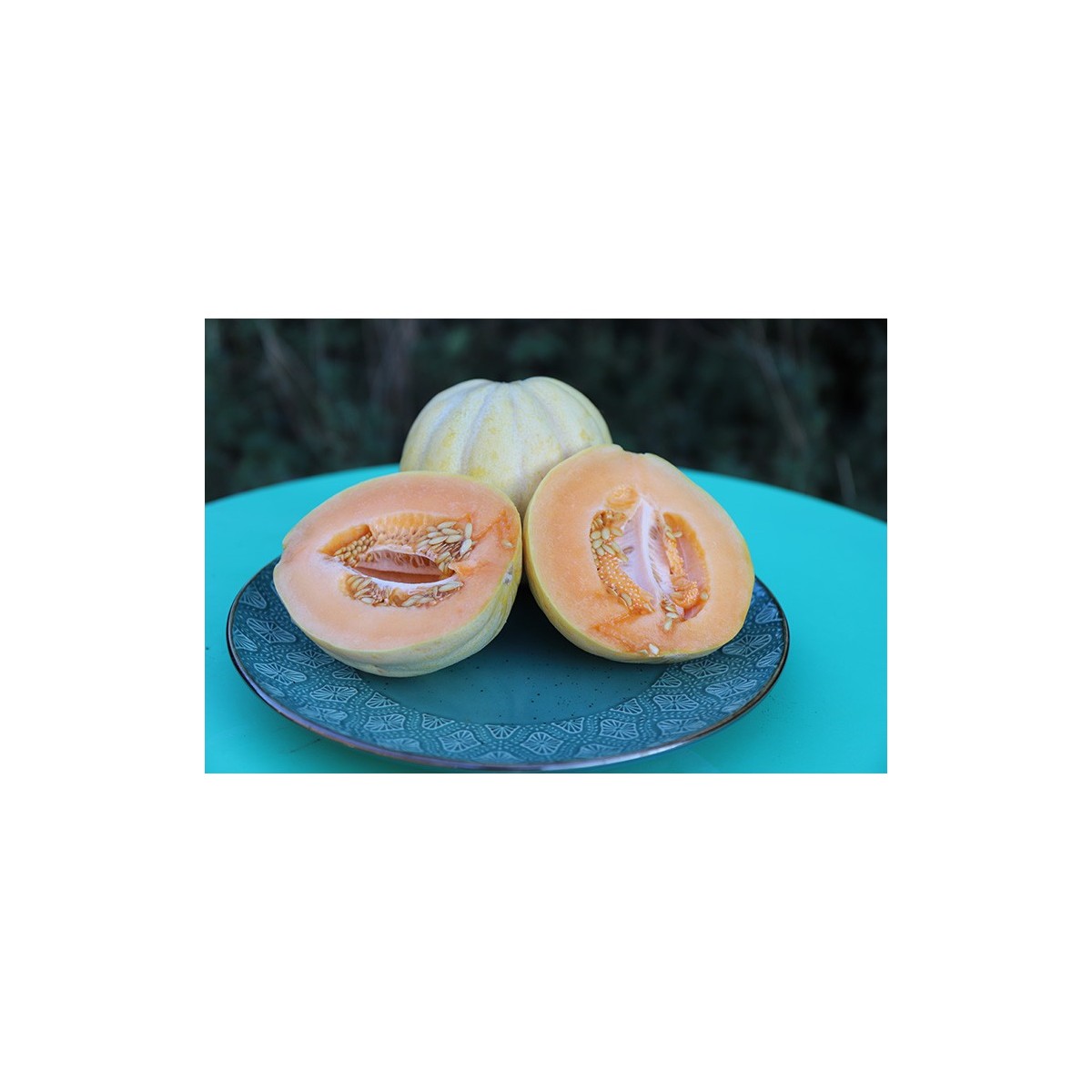 Melon de Bellegarde