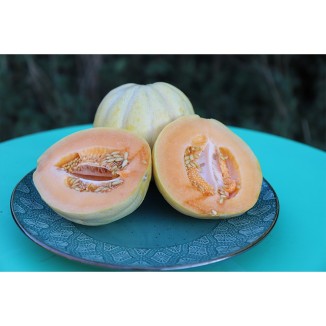 Melon de Bellegarde