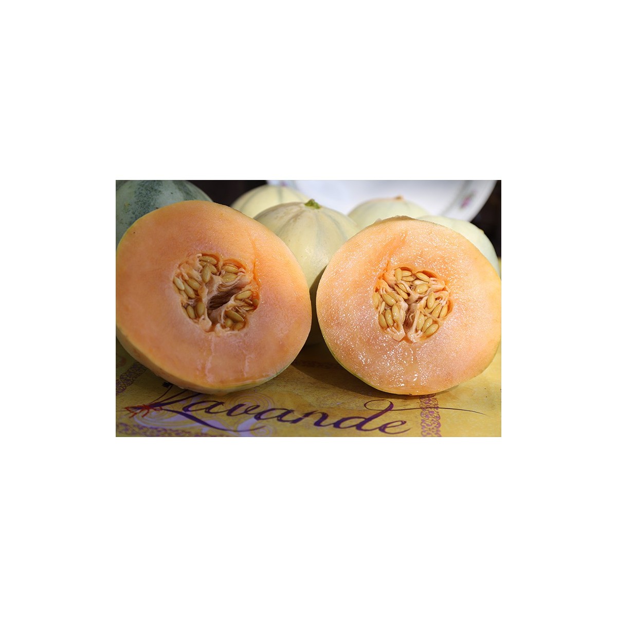 Melon Diamex Charentais