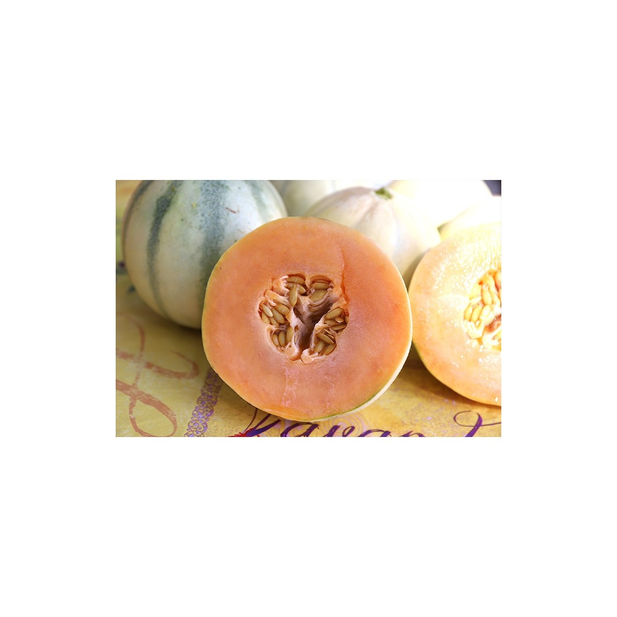 Melon Cantaloup Diamex semences bio
