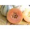 Melon Cantaloup Diamex semences bio