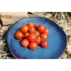 Semences de tomates cerises Montplaisir petit fruit rouge
