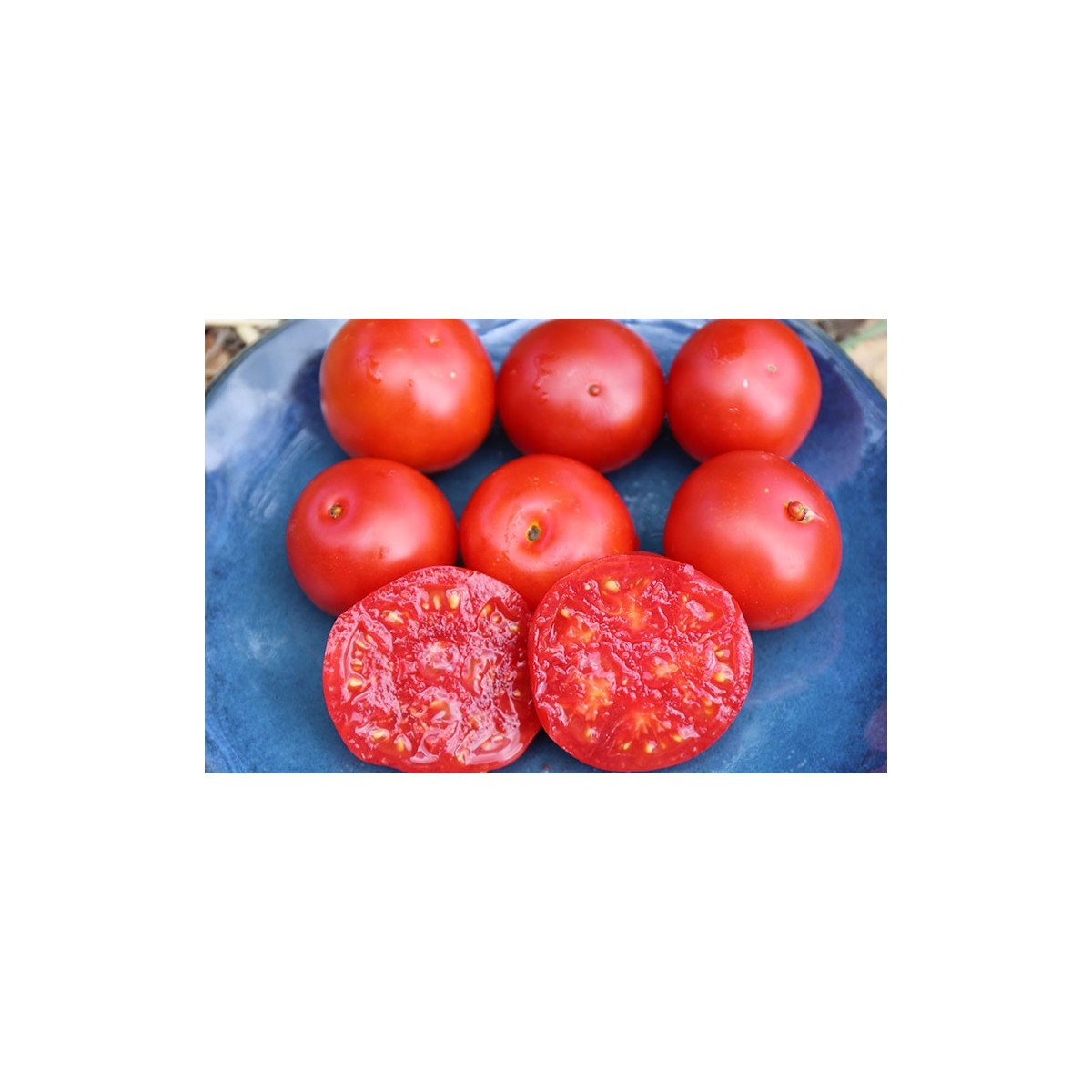 Tomate Joyau de l'Idaho