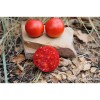 Tomate Joyau de l'Idaho variété précoce  semences bio