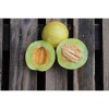 Semences de Melon Ananas d'Amérique bio