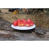Graines de tomate coeur de boeuf Anna russe vente en ligne