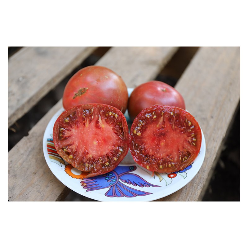 Tomate ancienne Noire de Crimée semences bio