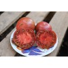 Tomate ancienne Noire de Crimée semences bio