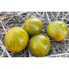 Semences de tomate Verte Zébrée, délicieuse et appréciée des jardiniers