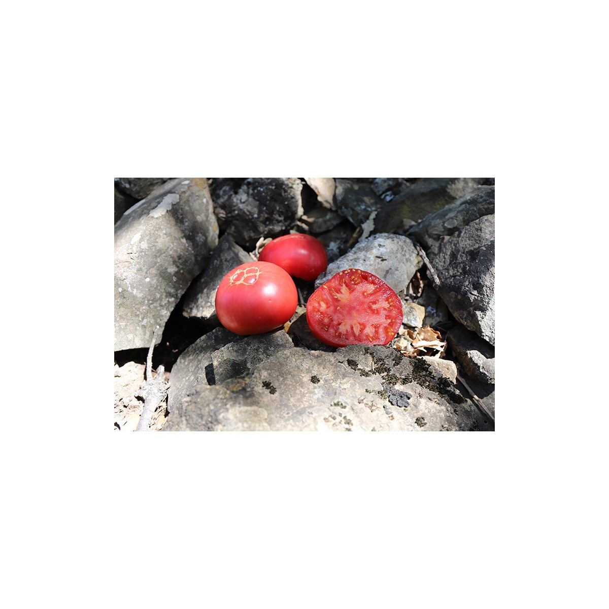 Tomate Levée d'Hypothèque