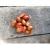 Tomate cerise Prune noire semences bio sachet de 50 graines