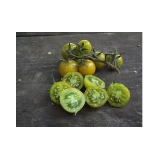 Tomate Cerise Raisin vert