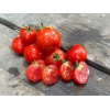 Tomate Joyau de l'Idaho variété précoce  semences bio