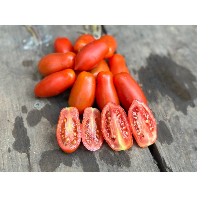 Tomate italienne Dix doigts de Naples semences biologiques