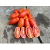 Tomate italienne Dix doigts de Naples semences biologiques