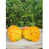 Tomate Ananas