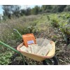 Pack de graines bio à semer de mai :  16 variétés