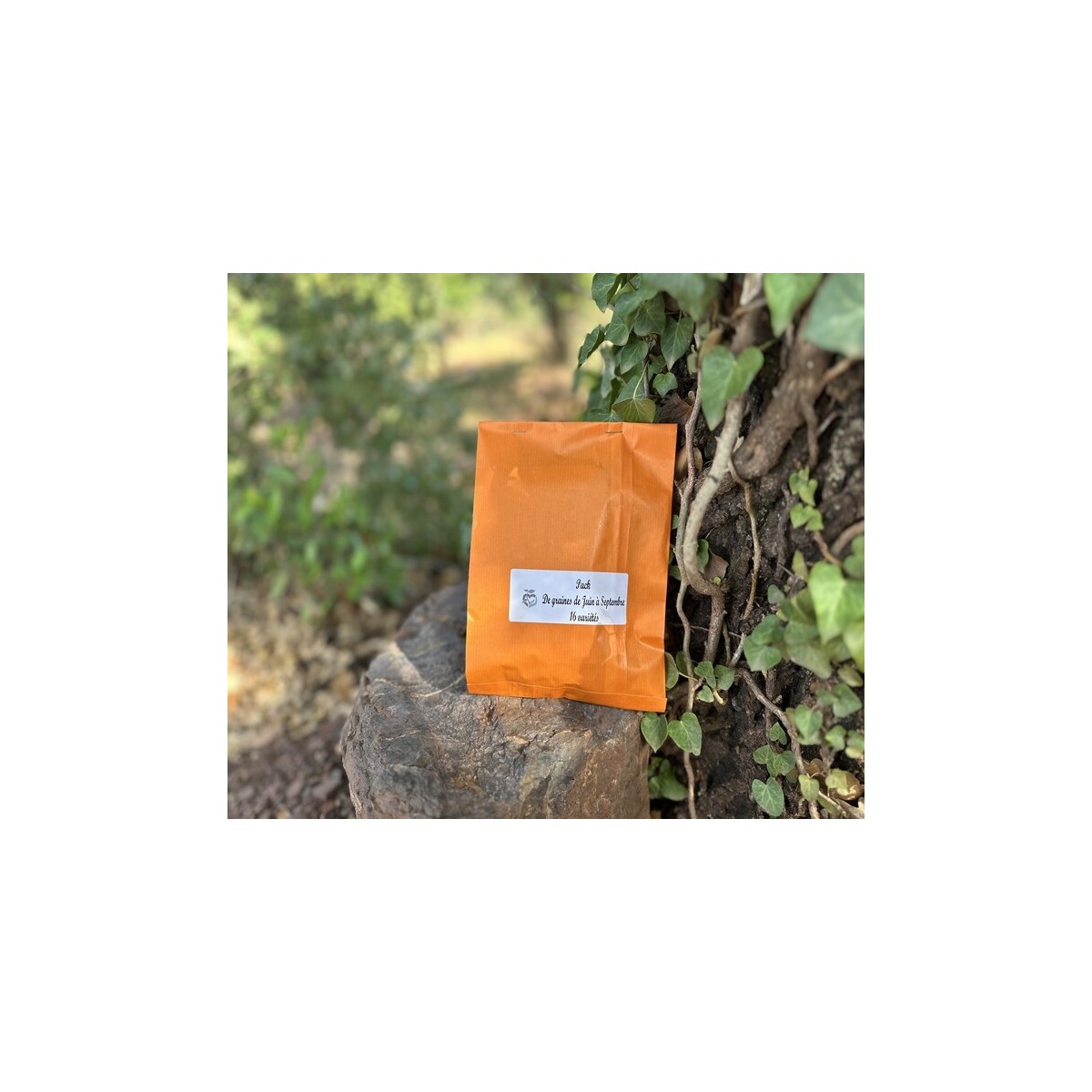 Pack de graines bio à semer de mai :  16 variétés