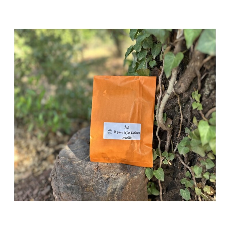 Pack de graines bio à semer de mai :  16 variétés