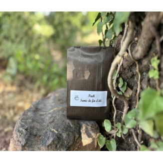 Pack de 10 variétés de graines de légumes pour le potager de fin d'été