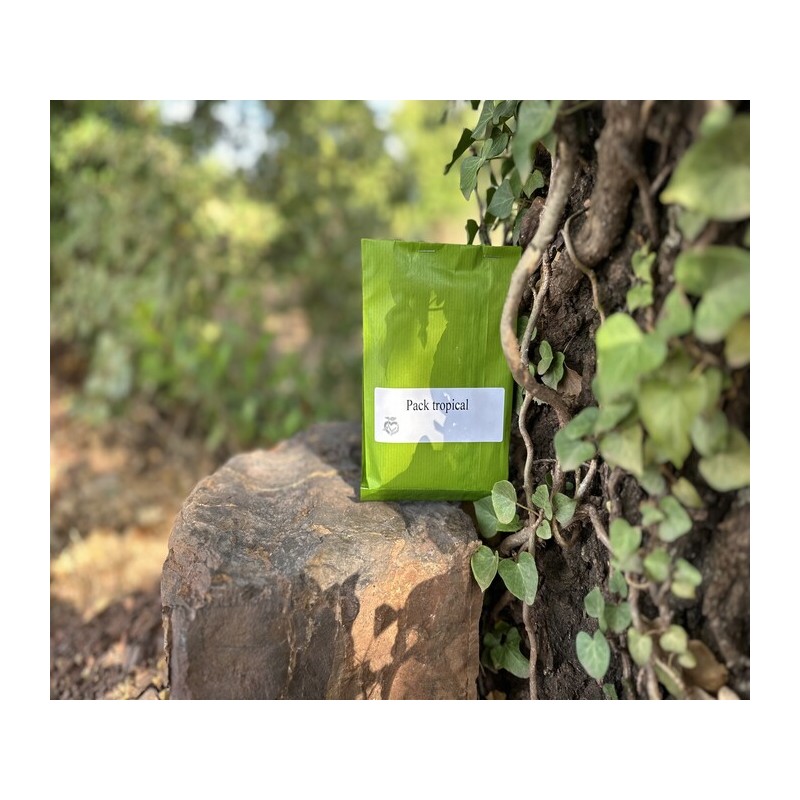 PACK Climat tropical  graines minimum de 300 graines dans ce pack.