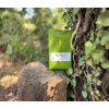 PACK Climat tropical  graines minimum de 300 graines dans ce pack.