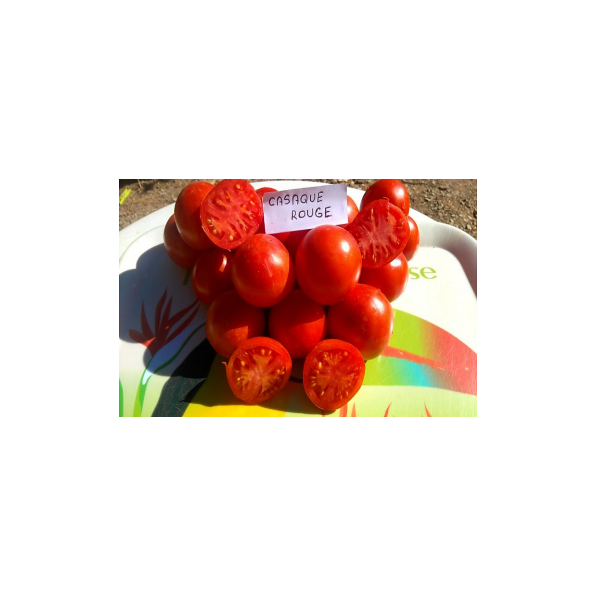 Semences de tomates Casaque Rouge de mi-saison à tardive