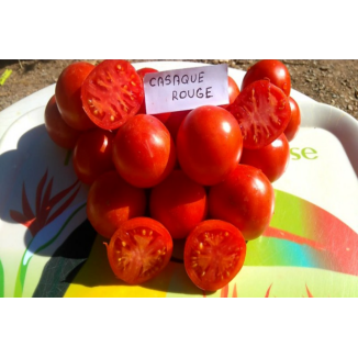 Semences de tomates Casaque Rouge de mi-saison à tardive