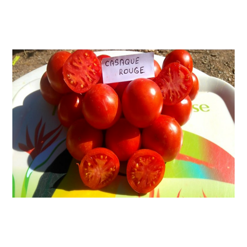 Semences de tomates Casaque Rouge de mi-saison à tardive